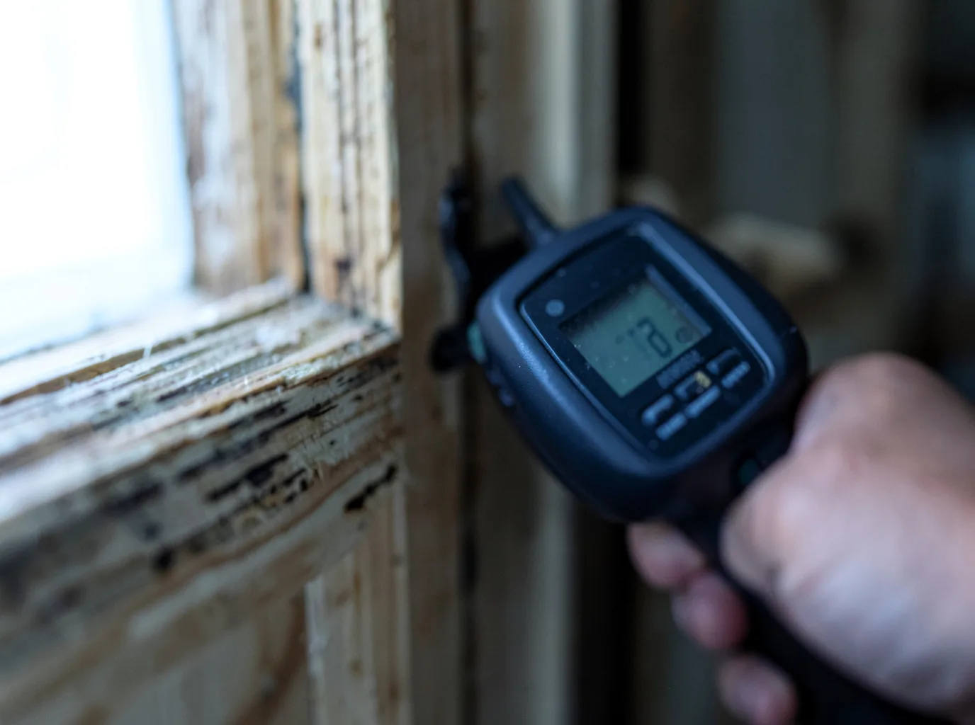 Water Damage Restoration Oak Harbor, WA FAQs